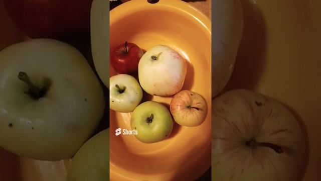 Как полезней кушать? Обьясняю. Фрукты, овощи вначале, а потом все остальное.