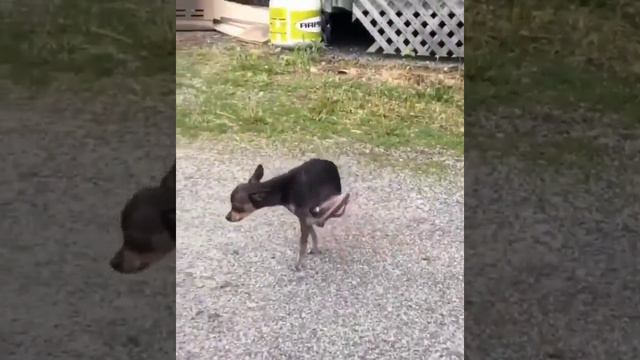 1000002547.mp4 смотреть онлайн