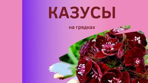 Не всё мы можем предусмотреть, но на ошибках учимся.