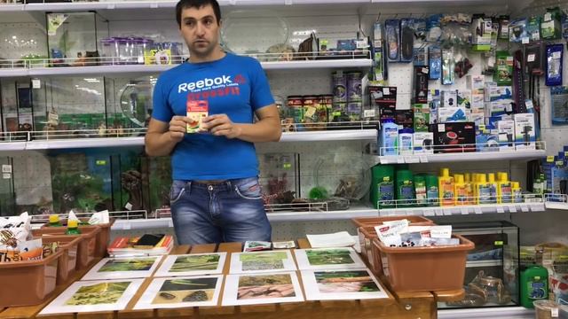 Защита от вредителей, мастер класс от аргонома Виктора Викулова! смотреть онлайн