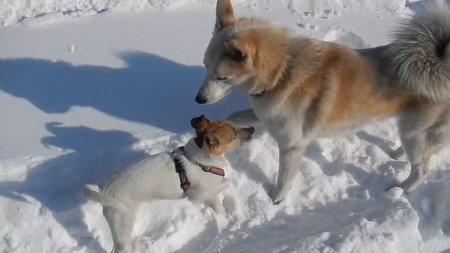 Поездка на Халютинский источник смотреть онлайн
