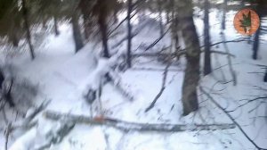 Обзор и тест: пила Fiskars SW75, топор Fiskars X7 + точилка, а также нож-поплавок Finland.