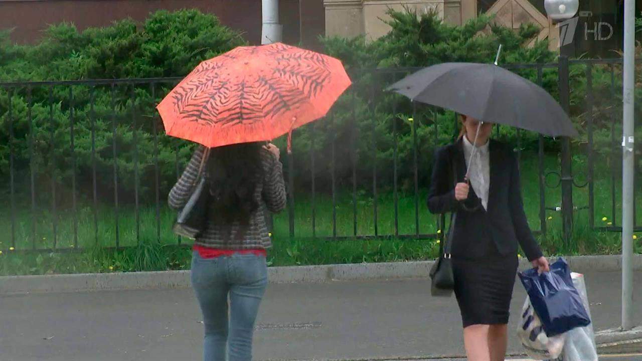 Погода последние два дня - главный ньюсмейкер и преподносит крайне неприятные сюрпризы