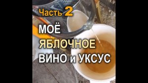 Моё яблочное вино и уксус как профилактическое лекарство. Продолжение (часть 2)