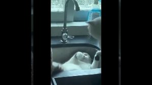 😂 Сам себе всё испортил