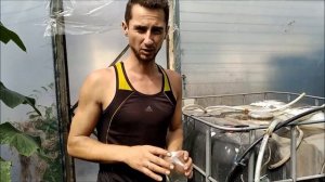 ПОДКОРМКА ОГУРЦОВ КАЛЬЦИЕМ И КАЛИЕМ!
