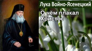 О чём плакал Христос / Лука (Войно-Ясенецкий). Великопостные проповеди. Благодатный жар покаяния