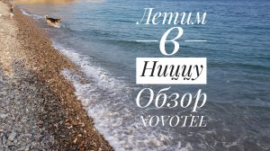Летели в Ниццу, но застряли в Москве. Обзор отеля Новотель.