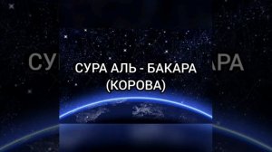 Перевод Суры АЛЬ-БАКАРА(КОРОВА) на русский язык
