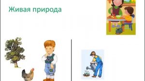 Живая и неживая природа. Сайт - игра Разумейкин