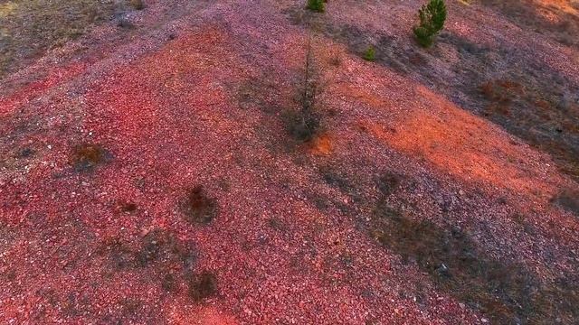 Палеонтологический заповедник Красная Горка смотреть онлайн
