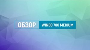 Краткий обзор коллекции wineo 700 medium