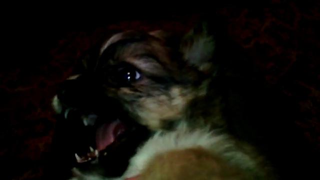 Леля не хочет сниматься ?! смотреть онлайн