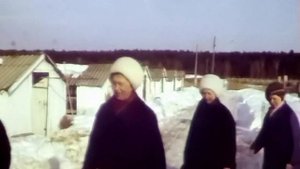 1988 год. Тобольский район. Зверосовхоз "Тобольский".