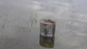 Ночная рыбалка на сома! Братское водохранилище!