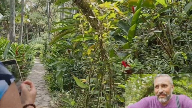 "Сказочная земля под небесами" Исабель-де-Торрес (Доминикана) смотреть онлайн