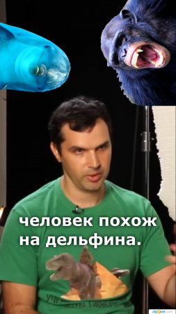 Чем человек похож на дельфина? Пранк журналистки РЕН-ТВ