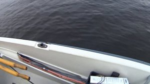 Рыбалка в Ленинградской области | Троллинг