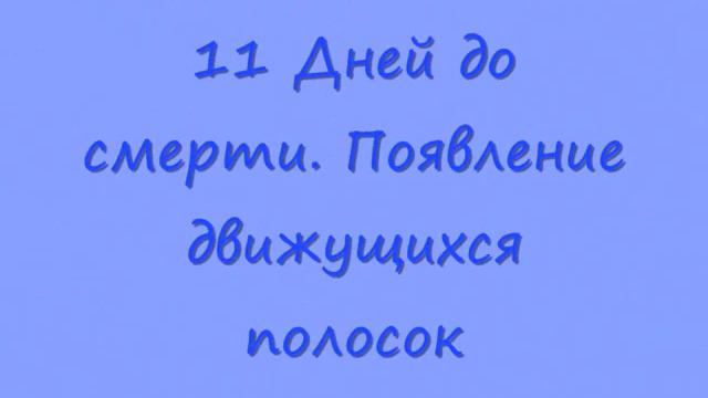 Проклятие мумии смотреть онлайн