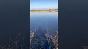 РЫБАЛКА В ВОСКРЕСЕНСКОМ РАЙОНЕ, УТРО