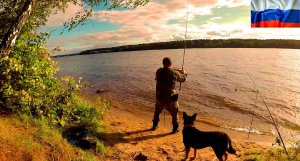 10. Короткометражное немое кино об отдыхе с элементами рыбалки со Степанычем, Афиной и Булькой....