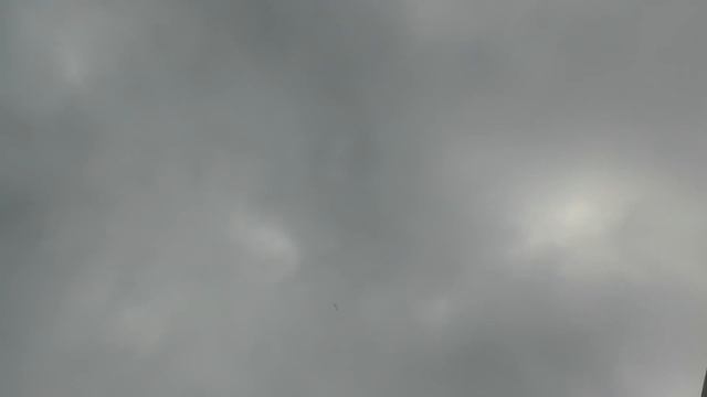 ГОЛУБИ Саши афганца, часть - 1 (узбекские, касаны, бакинские, свердловские) смотреть онлайн