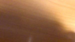 гайд по поеданию лазаньи золотой петушок