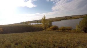 #4 Осенняя Ходовая Охота с Подхода. Спортивная Охота на Серую Куропатку с Курцхааром. Мр 153