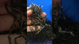 Иван-чай черный  двухэтапной ферментации   с медом и апельсинами