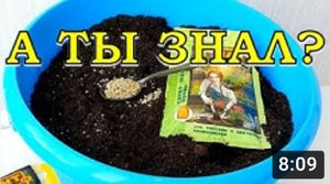 СУПЕР-УЛУЧШИТЕЛЬ ПОЧВЫ???