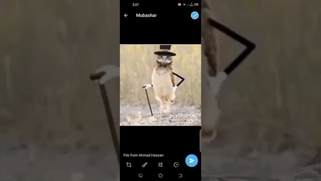 How to share Audio ,Video and Images form Telegram to WhatsApp | From whatsapp to telegram 2022 смотреть онлайн