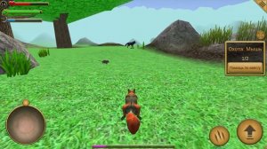 Симулятор Белки #3 Родился Маленький Бельчонок Кида на пурумчата