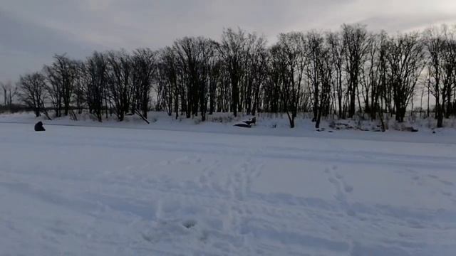 Бешеный клев окуня. Рыбалка на Каме. Клюет как из пулемёта. смотреть онлайн