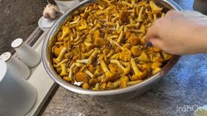 Лисички. Заморозка.Chanterelles. Freeze.