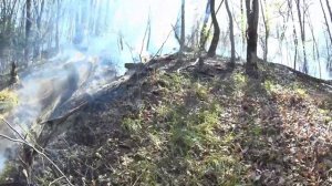 Лесной пожар 2019 в п.Тюменский Туапсинского района