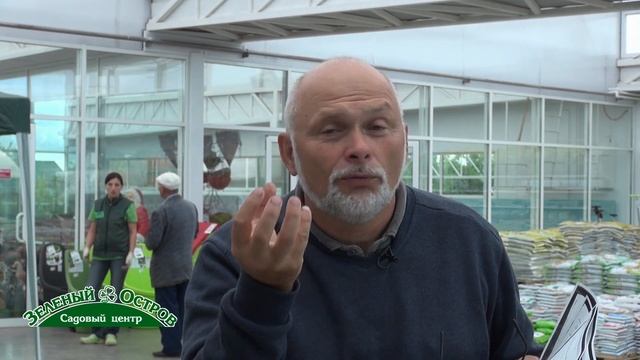 Не цветут тюльпаны
