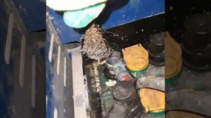 ЖК-8 - спрей для очистки и защиты электрических контактов.mp4