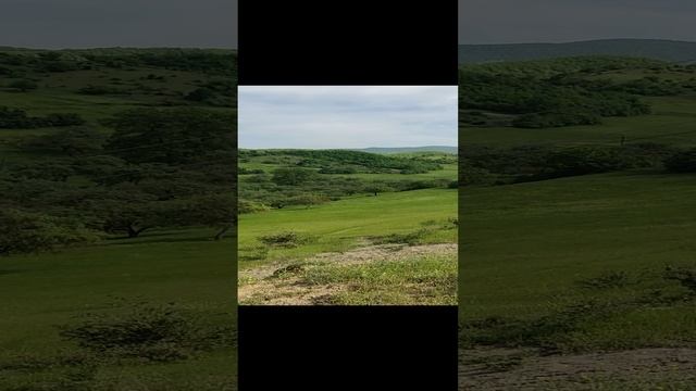 1000054532.mp4