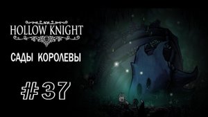 Сады Королевы | Hollow Knight | Прохождение #37