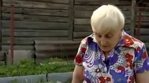 ?Как вырастить картофель под соломой. #неокучивая