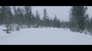 Davanti Wintoura. Зимний тест шин Даванти