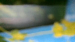 Куплеты Велюрова(к/ф"Покровские ворота"(наброски)