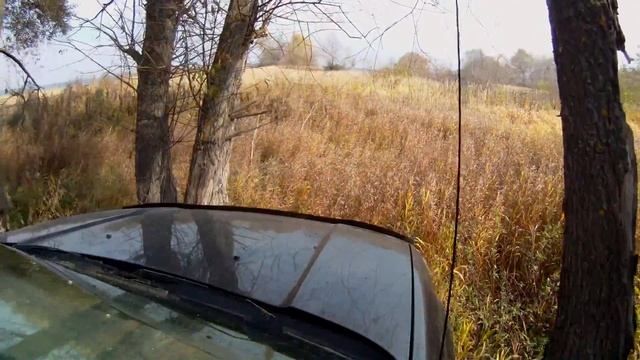 Ford Escape on autumn field. смотреть онлайн