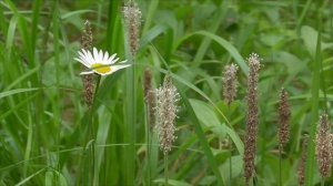 На блаженство сердца 1 часть  Для мужчин и женщин