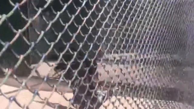 КАК ШТБ ОТДЫХАЕТ? (госпади спасите) смотреть онлайн