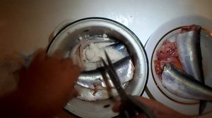 Как посолить селедку Солим свежую сельдь