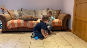 How to make your Owleez fly