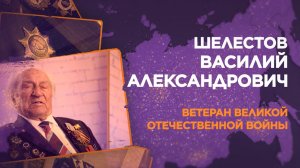 Шелестов Василий Александрович, Волгоград