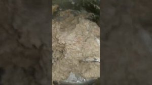 БЕЗДРОЖЖЕВОЙ ХЛЕБ НА МИНЕРАЛЬНОЙ ВОДЕ