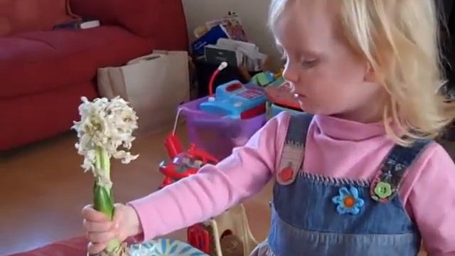 Beth 2years 6 months talks about her dead hyacinth! смотреть онлайн